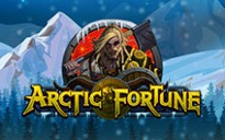 Arctic Fortune