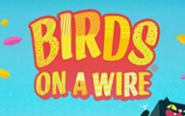 Birds On A Wire