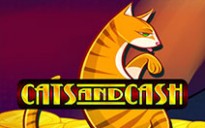 Cats and Cash