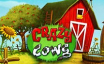 Crazy Cows