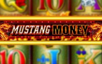 Mustang Money